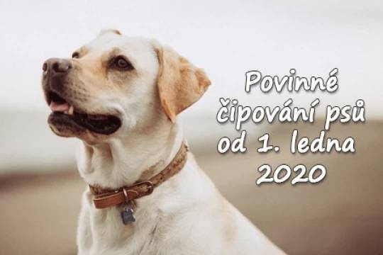 povinnost čipování.jpg